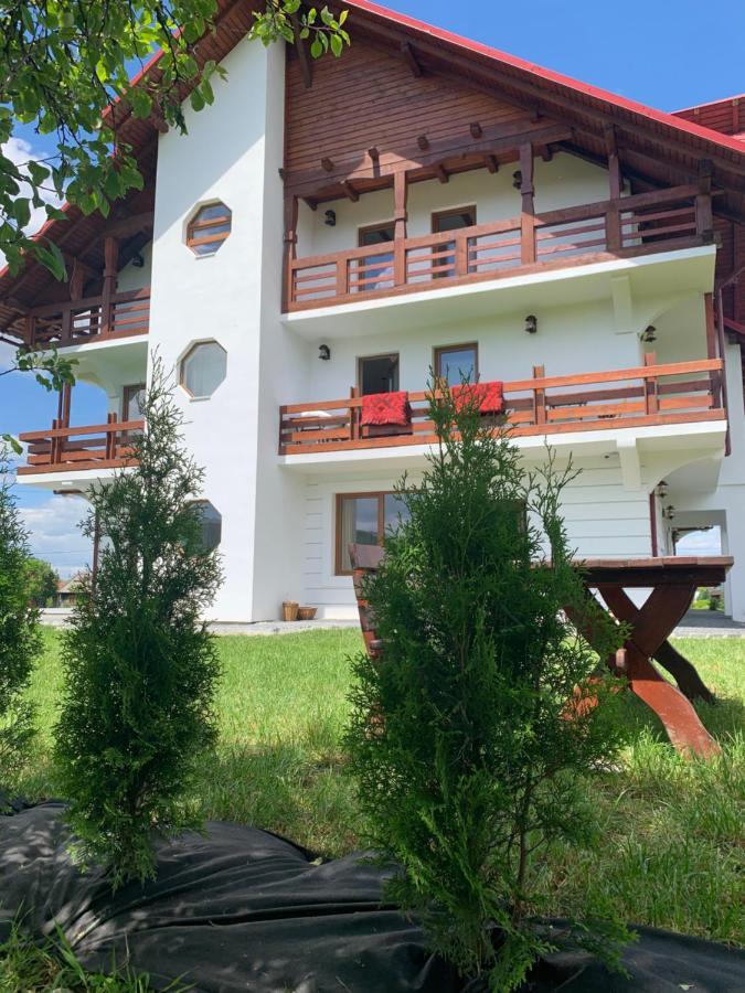 Hotel Poème à Sighetu Marmaţiei Extérieur photo