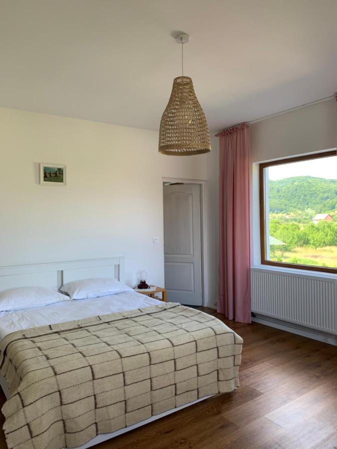Hotel Poème à Sighetu Marmaţiei Extérieur photo