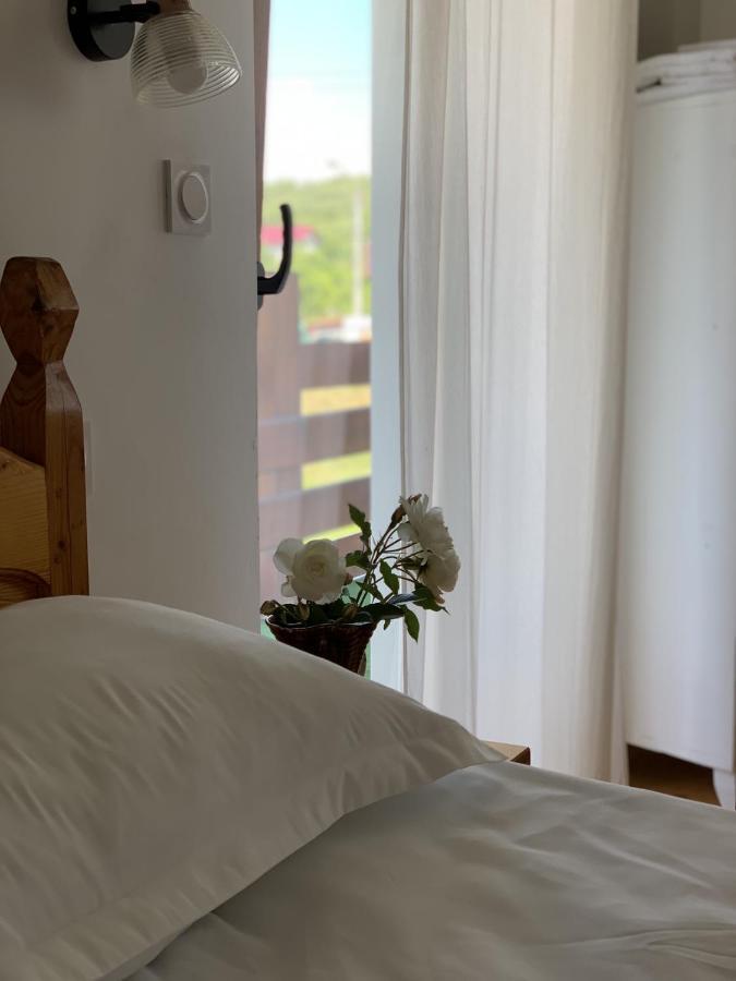 Hotel Poème à Sighetu Marmaţiei Extérieur photo